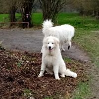 Pèronne de l'Esprit Blanc des Montagnes